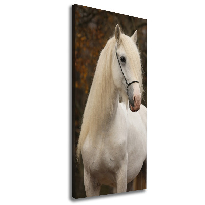 Cuadro moderno en lienzo resistente uv vertical Caballo blanco