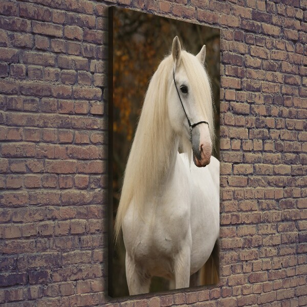 Cuadro moderno en lienzo resistente uv vertical Caballo blanco