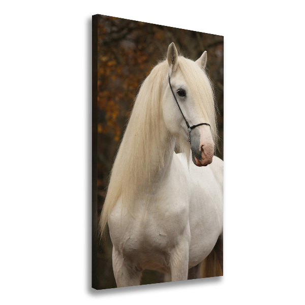 Cuadro moderno en lienzo resistente uv vertical Caballo blanco