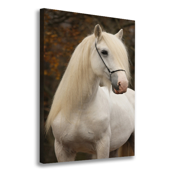 Cuadro moderno en lienzo resistente uv vertical Caballo blanco