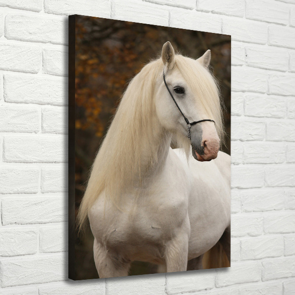 Cuadro moderno en lienzo resistente uv vertical Caballo blanco