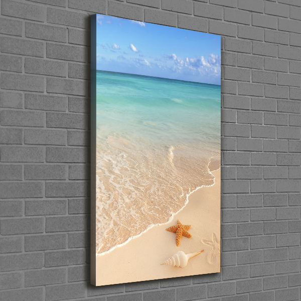 Impresión en lienzo vertical Estrellas de mar en la playa