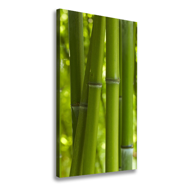Cuadro moderno en lienzo resistente uv vertical bosque de bambú