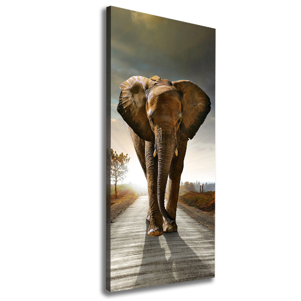 Fotografía en lienzo vertical Elefante caminando