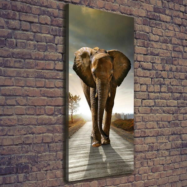 Fotografía en lienzo vertical Elefante caminando