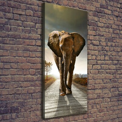 Fotografía en lienzo vertical Elefante caminando