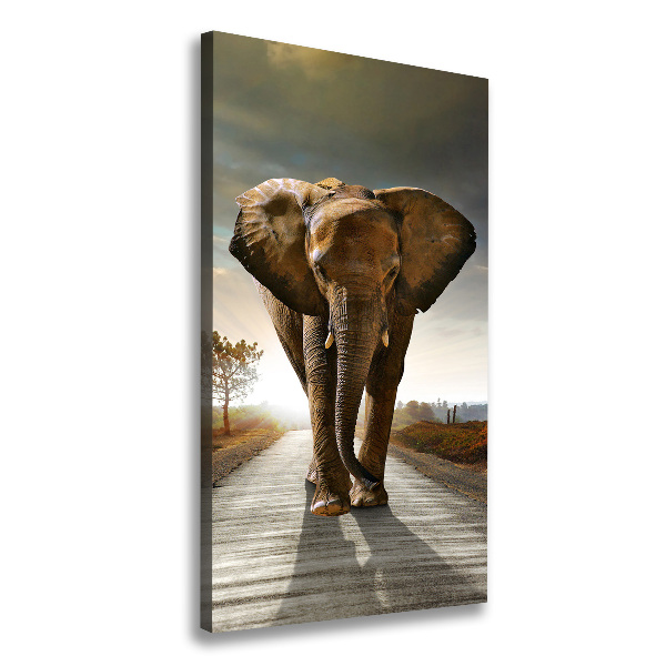 Fotografía en lienzo vertical Elefante caminando