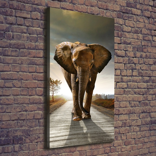 Fotografía en lienzo vertical Elefante caminando