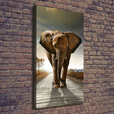 Fotografía en lienzo vertical Elefante caminando