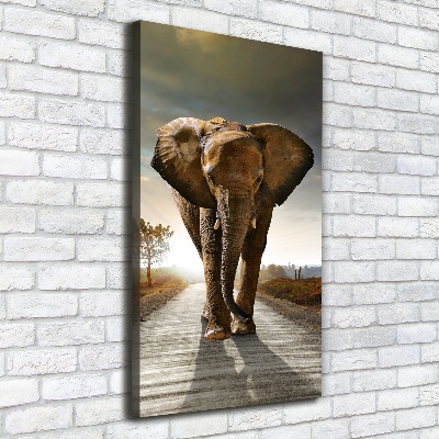 Fotografía en lienzo vertical Elefante caminando