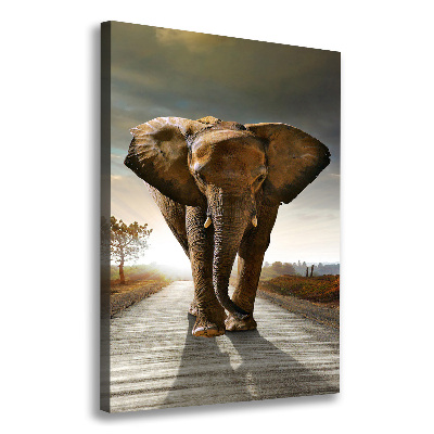 Fotografía en lienzo vertical Elefante caminando
