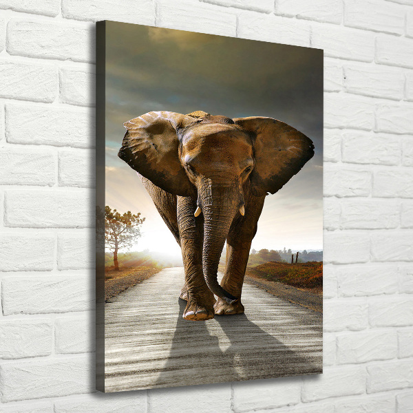 Fotografía en lienzo vertical Elefante caminando