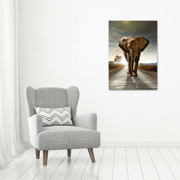 Fotografía en lienzo vertical Elefante caminando