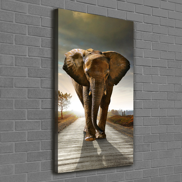 Fotografía en lienzo vertical Elefante caminando