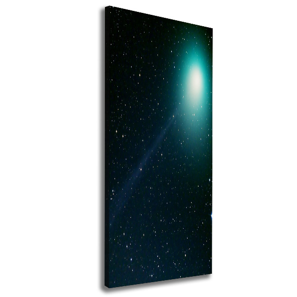 Cuadro canvas decorativo para salón vertical Galaxia