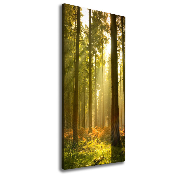 Cuadro canvas decorativo para salón vertical Hermoso bosque