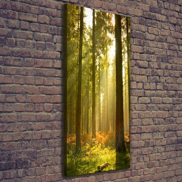 Cuadro canvas decorativo para salón vertical Hermoso bosque