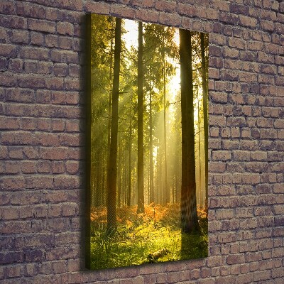 Cuadro canvas decorativo para salón vertical Hermoso bosque