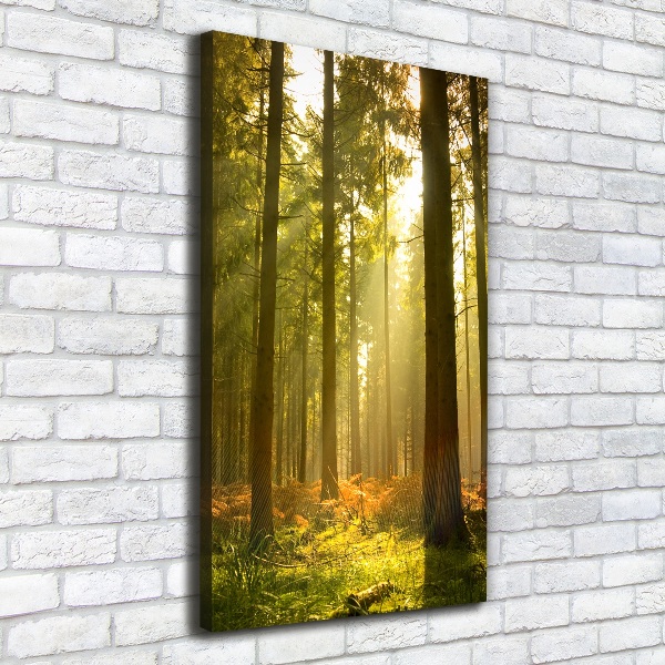 Cuadro canvas decorativo para salón vertical Hermoso bosque