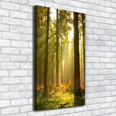 Cuadro canvas decorativo para salón vertical Hermoso bosque