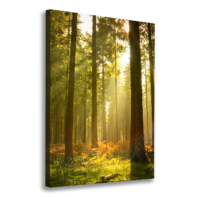 Cuadro canvas decorativo para salón vertical Hermoso bosque