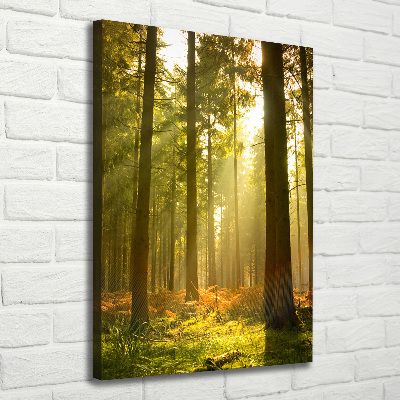 Cuadro canvas decorativo para salón vertical Hermoso bosque