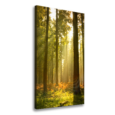 Cuadro canvas decorativo para salón vertical Hermoso bosque