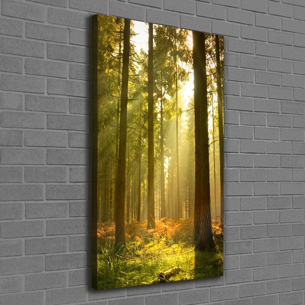 Cuadro canvas decorativo para salón vertical Hermoso bosque