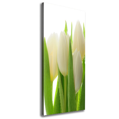 Fotografía en lienzo vertical tulipanes blancos
