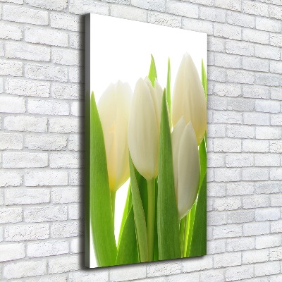 Fotografía en lienzo vertical tulipanes blancos