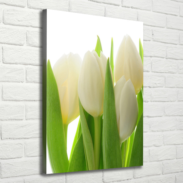 Fotografía en lienzo vertical tulipanes blancos