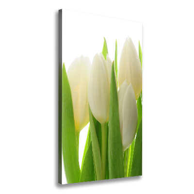 Fotografía en lienzo vertical tulipanes blancos