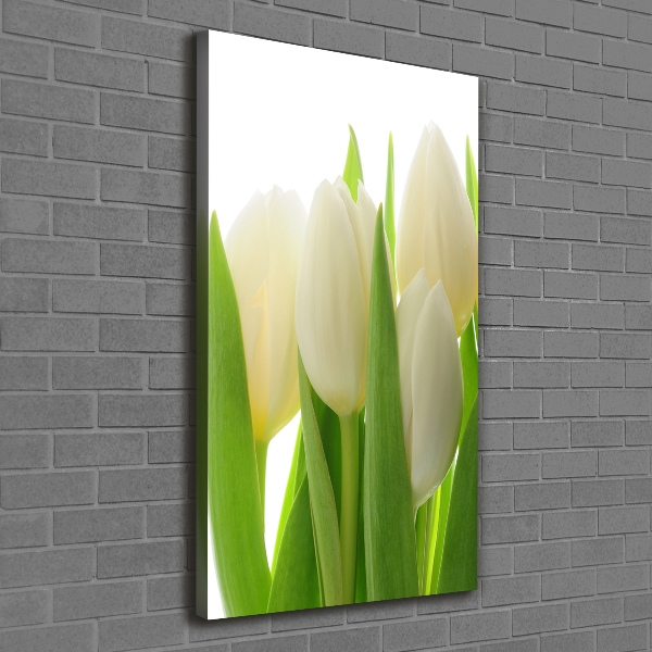 Fotografía en lienzo vertical tulipanes blancos