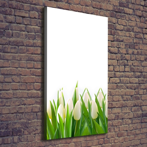 Cuadro canvas decorativo para salón vertical tulipanes blancos
