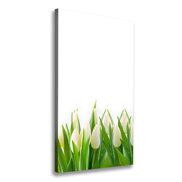 Cuadro canvas decorativo para salón vertical tulipanes blancos