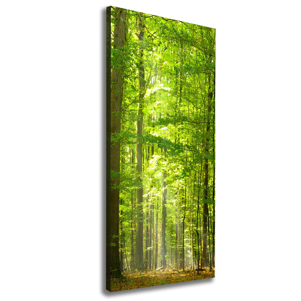 Cuadro canvas decorativo para salón vertical bosque de hayas