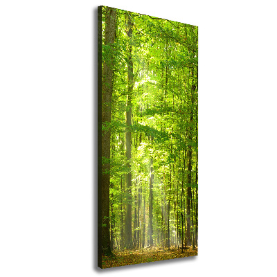 Cuadro canvas decorativo para salón vertical bosque de hayas