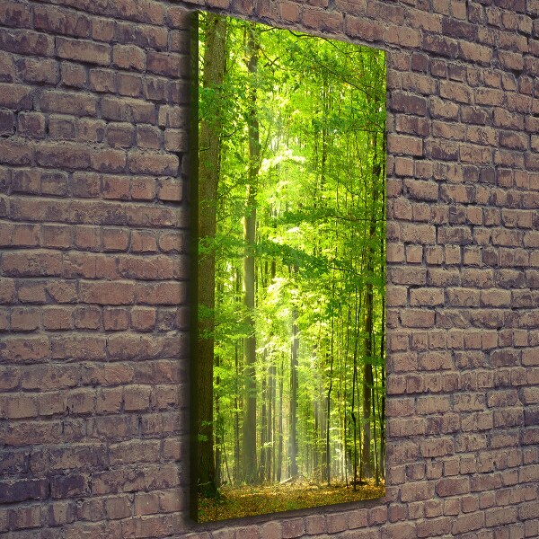 Cuadro canvas decorativo para salón vertical bosque de hayas