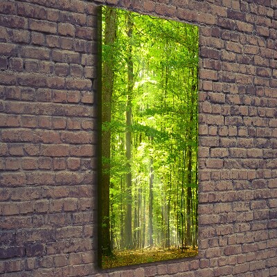 Cuadro canvas decorativo para salón vertical bosque de hayas