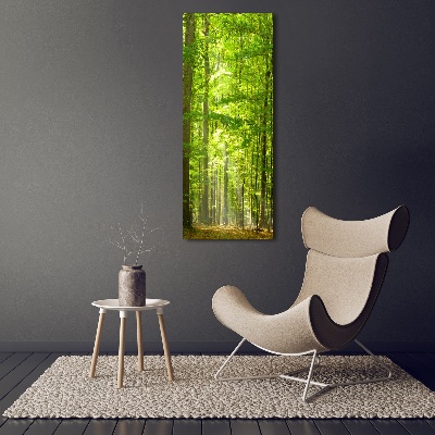 Cuadro canvas decorativo para salón vertical bosque de hayas