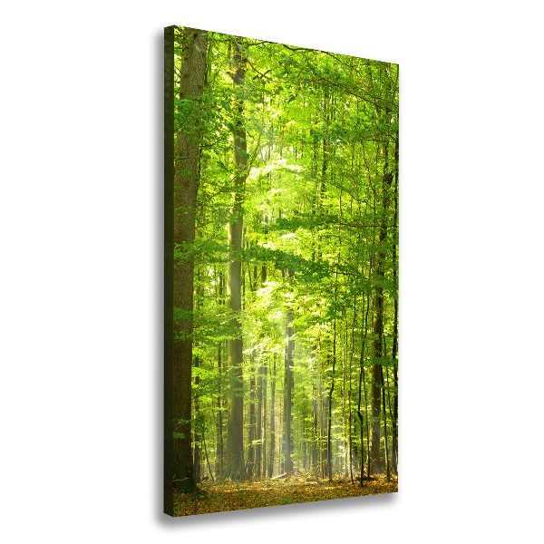 Cuadro canvas decorativo para salón vertical bosque de hayas
