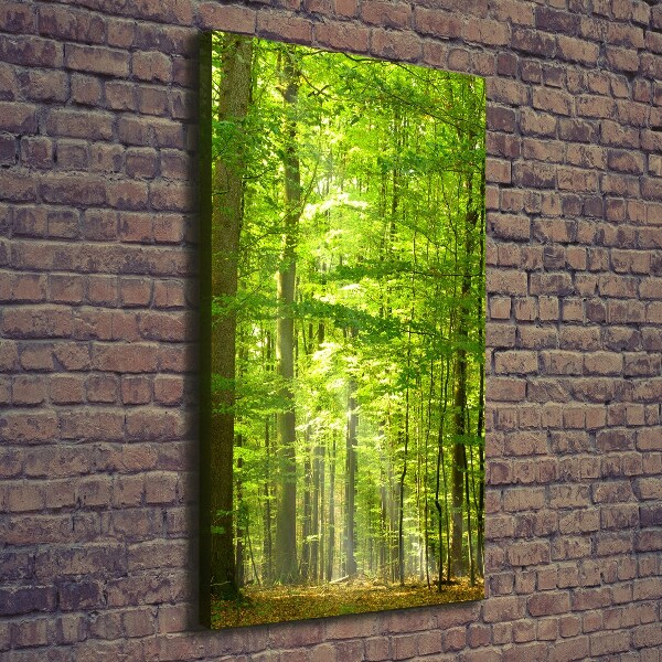 Cuadro canvas decorativo para salón vertical bosque de hayas