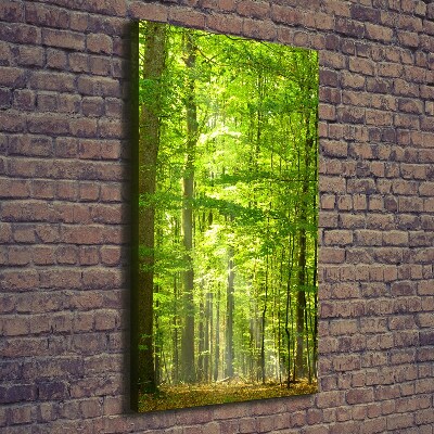 Cuadro canvas decorativo para salón vertical bosque de hayas