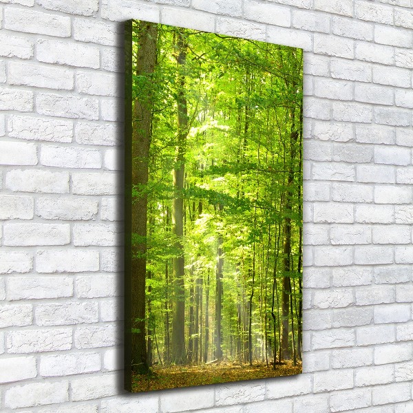 Cuadro canvas decorativo para salón vertical bosque de hayas