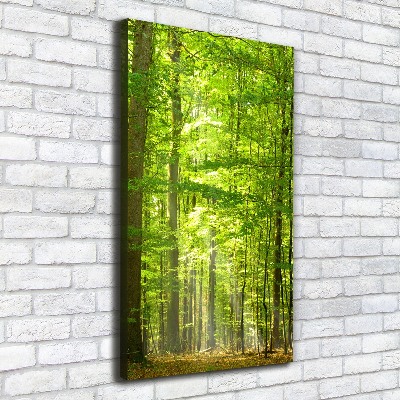 Cuadro canvas decorativo para salón vertical bosque de hayas