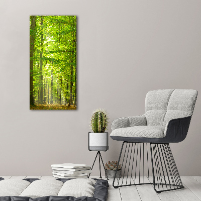 Cuadro canvas decorativo para salón vertical bosque de hayas