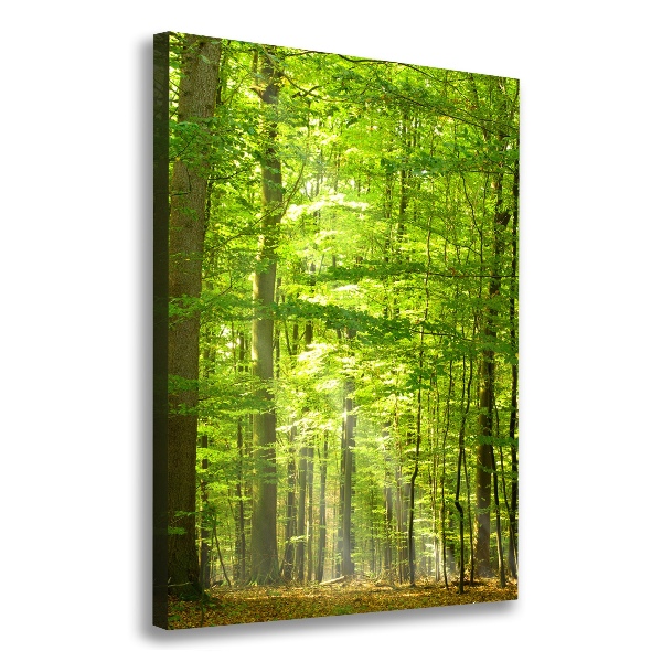 Cuadro canvas decorativo para salón vertical bosque de hayas