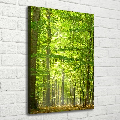 Cuadro canvas decorativo para salón vertical bosque de hayas