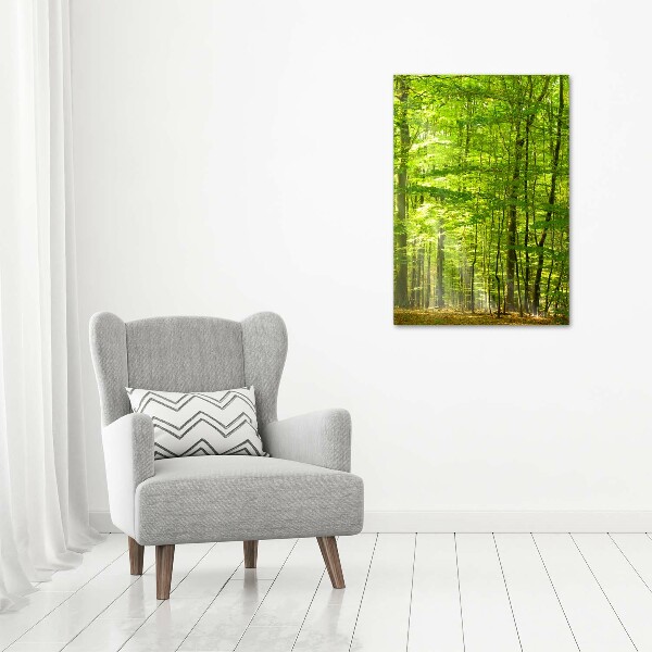 Cuadro canvas decorativo para salón vertical bosque de hayas