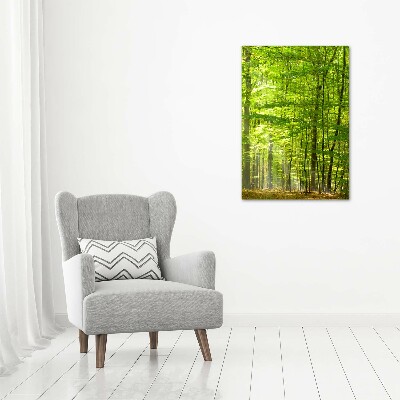 Cuadro canvas decorativo para salón vertical bosque de hayas